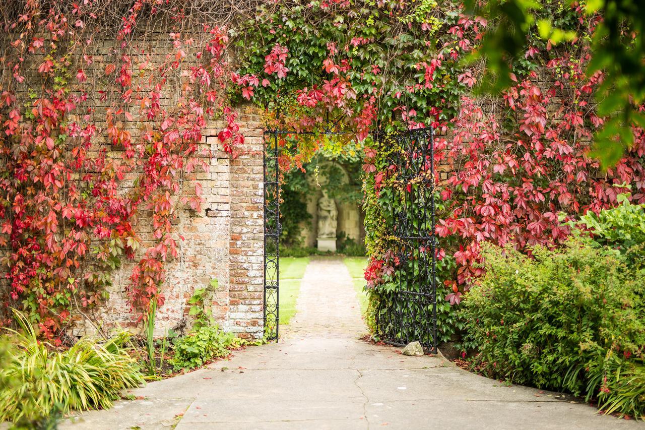 Eastwell Manor, Champneys Hotel & Spa Ashford  Ngoại thất bức ảnh